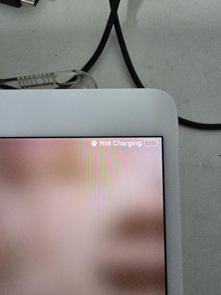 iPad Pro charging and battery replacement in Virginia Beach iFix757